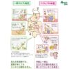 ライラック乳酸菌Fプラス(カプセル) - 画像 (4)